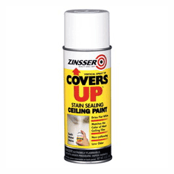 ZINSSERS COVERS UP 13 OZ